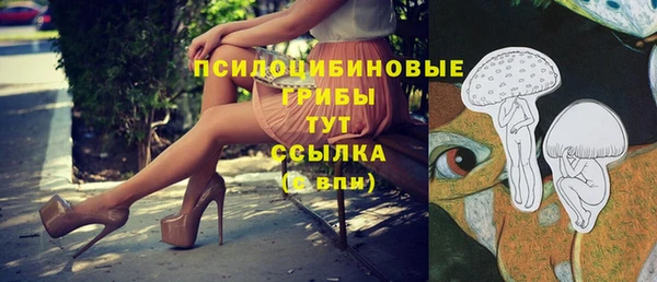 синтетический гашиш Балахна
