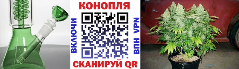 сколько стоит  кракен как зайти  Конопля AK-47  нарко площадка клад  Мариинский Посад 